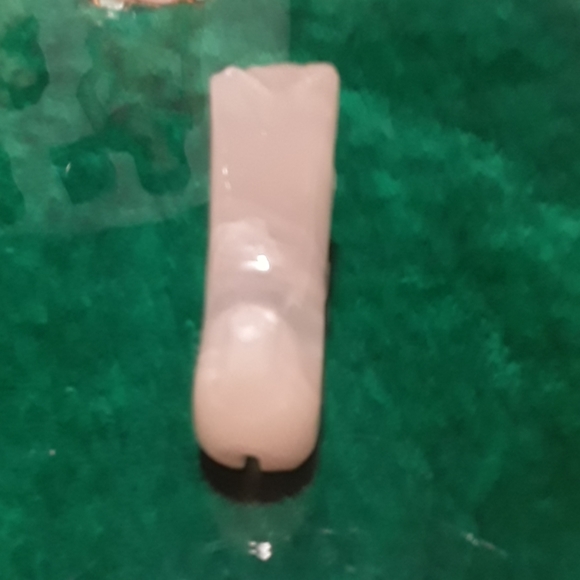 Airedale Terrier. His name is "Magic." - Picture 4 of 4